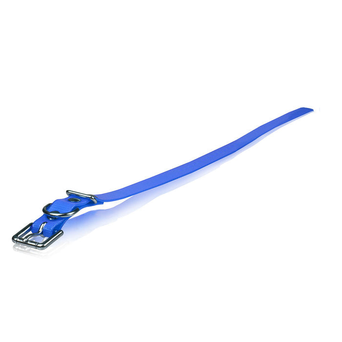 Dogtra Extra Dog Collar Strap 3/4" x 28"
