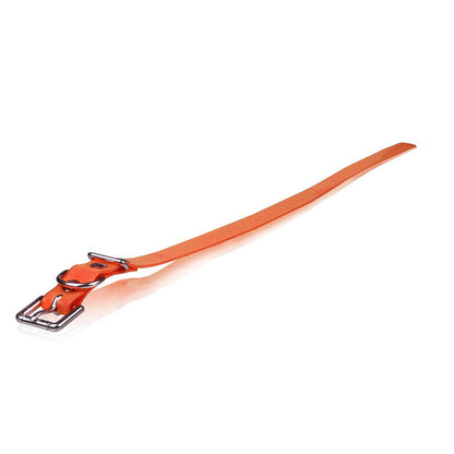 Dogtra Extra Dog Collar Strap 3/4" x 32"