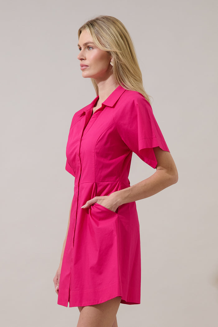 Durella Button Down Mini Dress