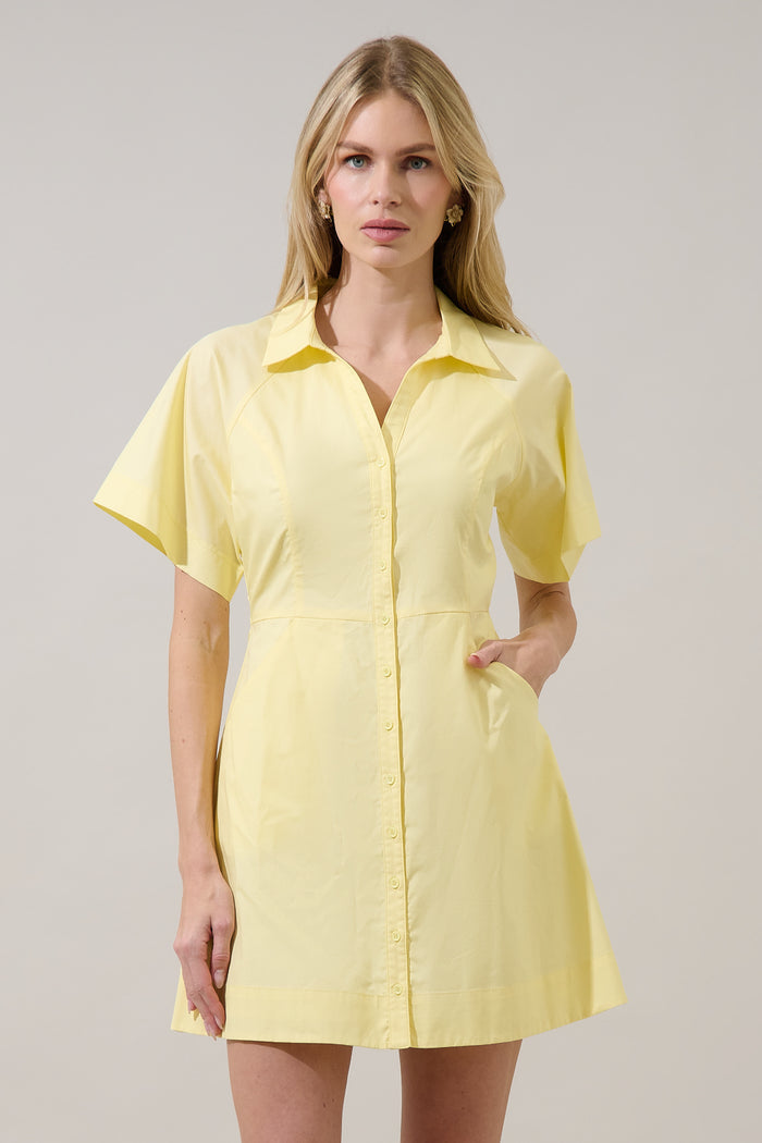 Durella Button Down Mini Dress
