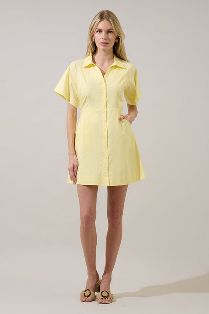 Durella Button Down Mini Dress