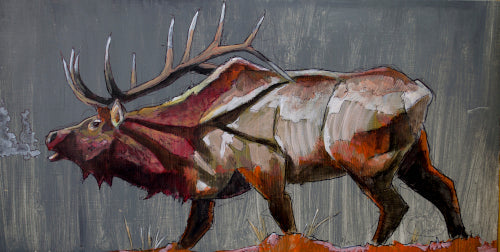 Elk Gray Bugle Wildlife Art Prints by Ed Anderson
