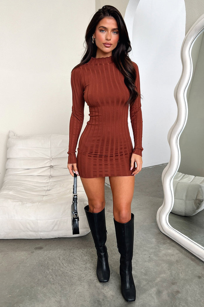 Emily Long Sleeve Turtle Neck Dress - Brown
