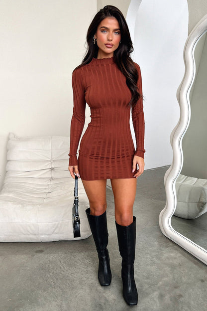 Emily Long Sleeve Turtle Neck Dress - Brown