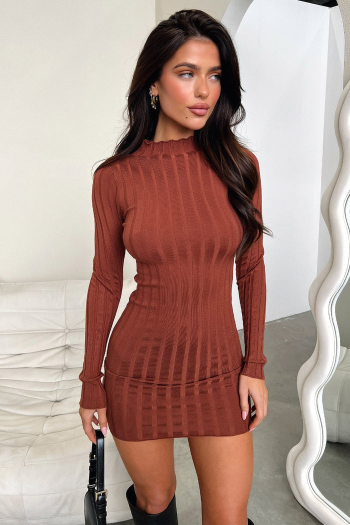 Emily Long Sleeve Turtle Neck Dress - Brown