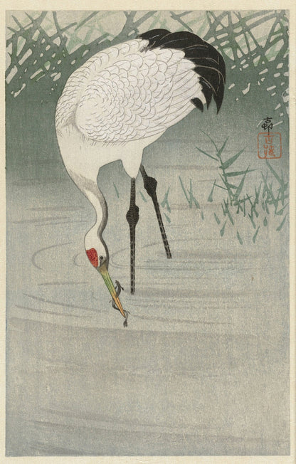 Fishing Crane in Shallow Water by Ohara Koson, 1900