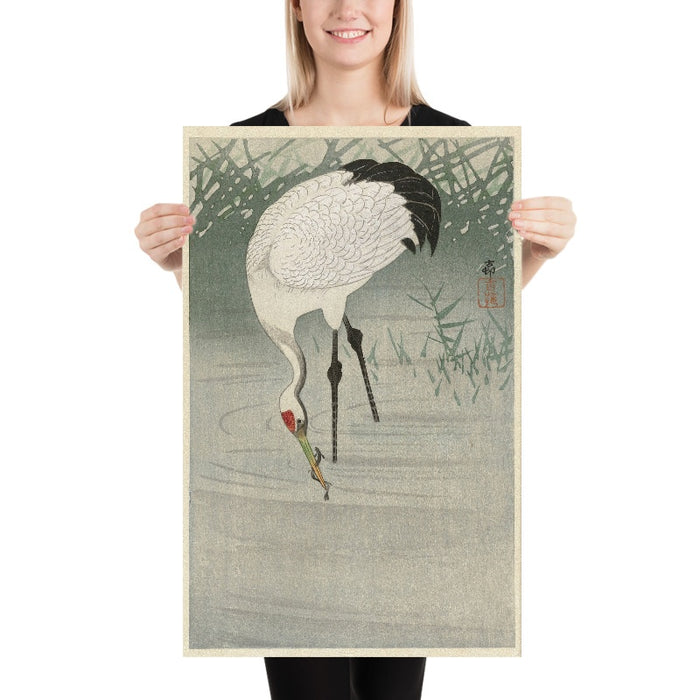Fishing Crane in Shallow Water by Ohara Koson, 1900