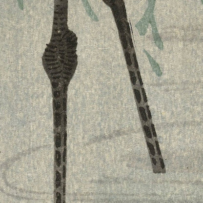 Fishing Crane in Shallow Water by Ohara Koson, 1900