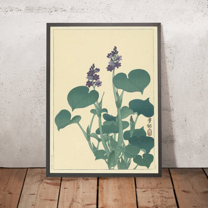 A framed image of