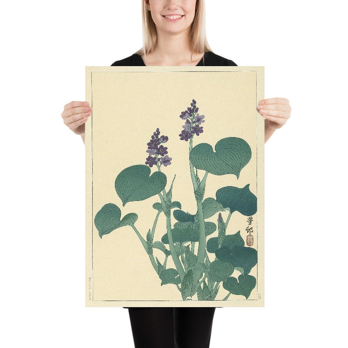 Flowering Hosta by Ohara Koson, 1900