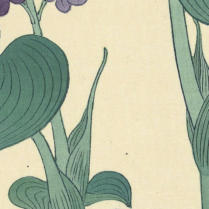 Flowering Hosta by Ohara Koson, 1900