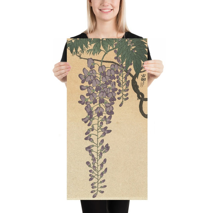 Flowering Wisteria by Ohara Koson, 1877