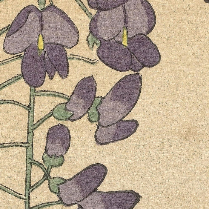 Flowering Wisteria by Ohara Koson, 1877