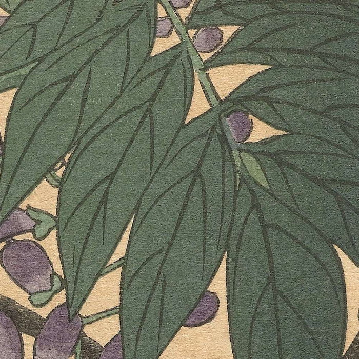 Flowering Wisteria by Ohara Koson, 1877