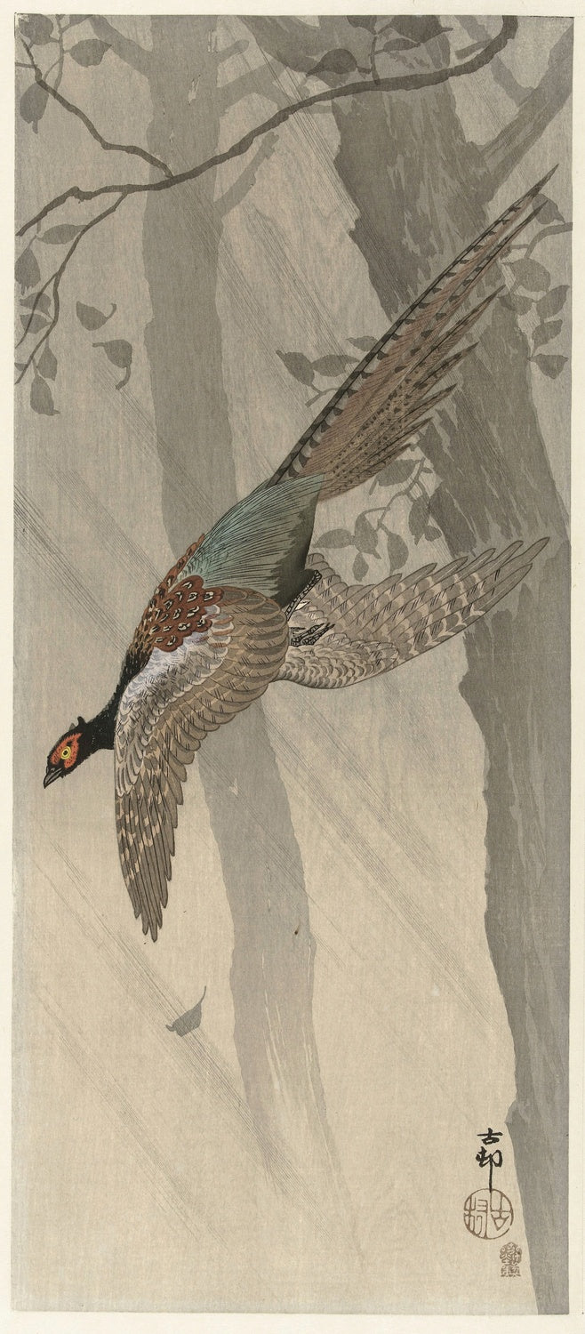 Flying Pheasant by Ohara Koson, 1910