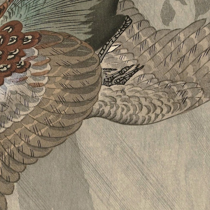 Flying Pheasant by Ohara Koson, 1910