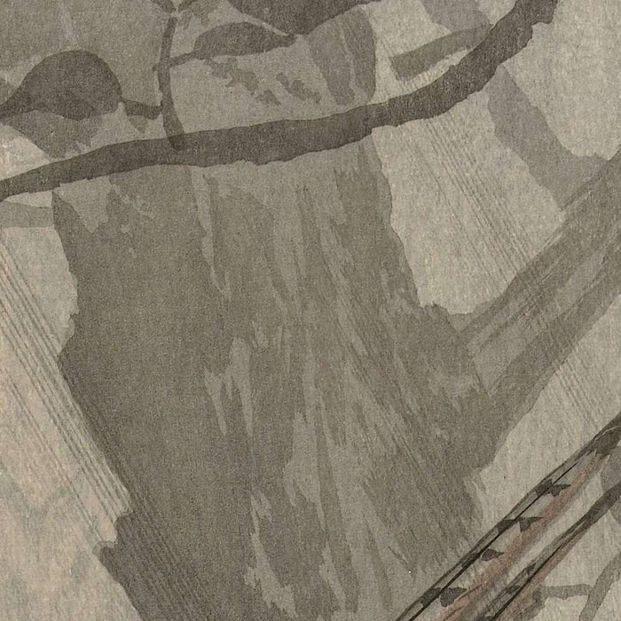 Flying Pheasant by Ohara Koson, 1910