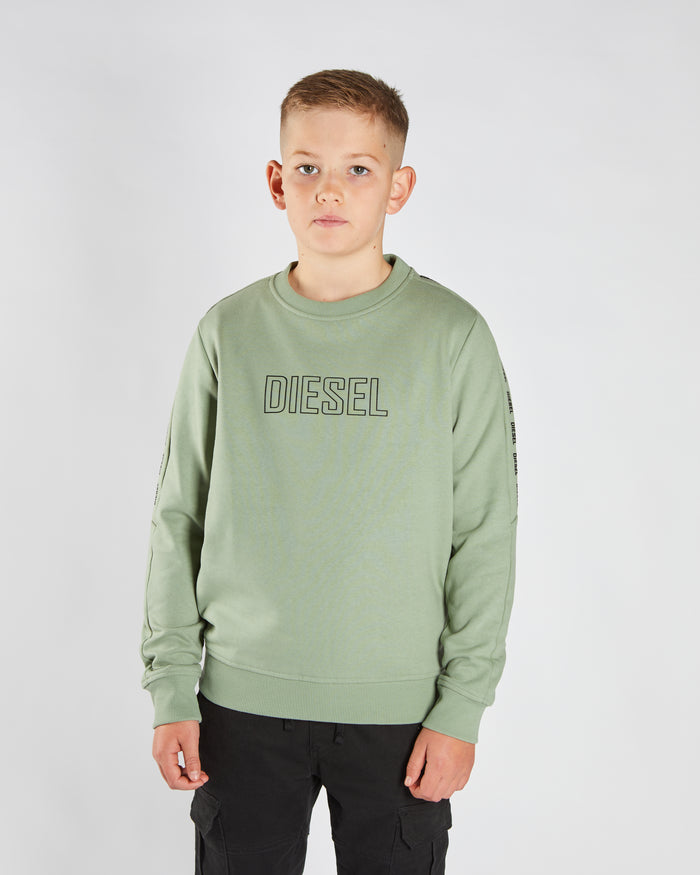 Ford Sweater Sage