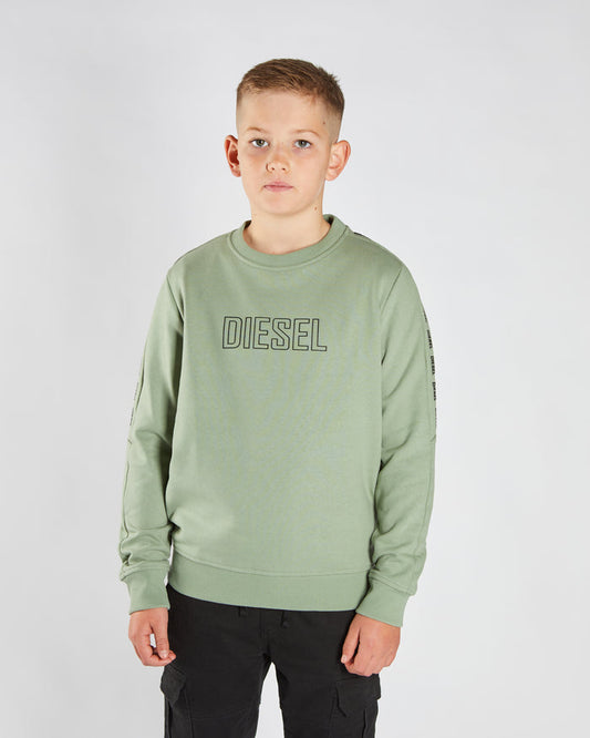 Ford Sweater Sage