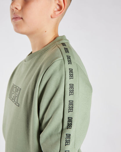 Ford Sweater Sage