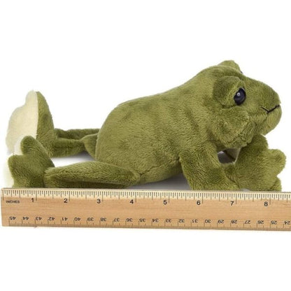 Plush Stuffed Frog Frank Measuring