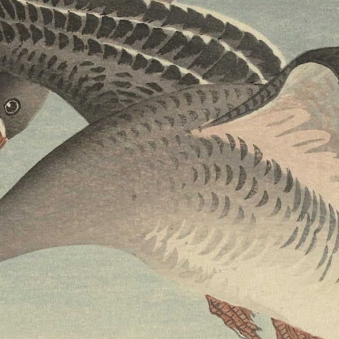 Geese at full moon II by Ohara Koson, 1925
