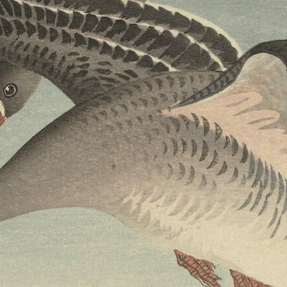 Geese at full moon II by Ohara Koson, 1925