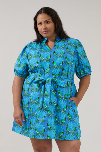 Genia Shift Mini Dress Peacock Curve