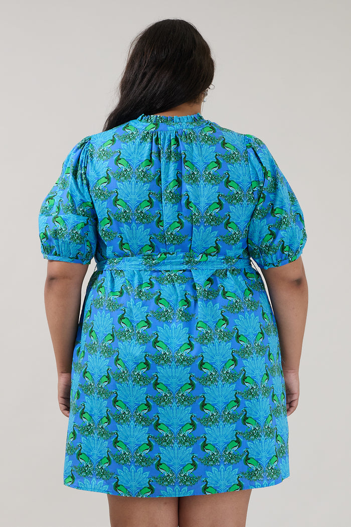 Genia Shift Mini Dress Peacock Curve