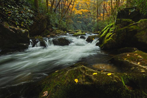 Go With the Flow – Art Prints by Jason Clemmons