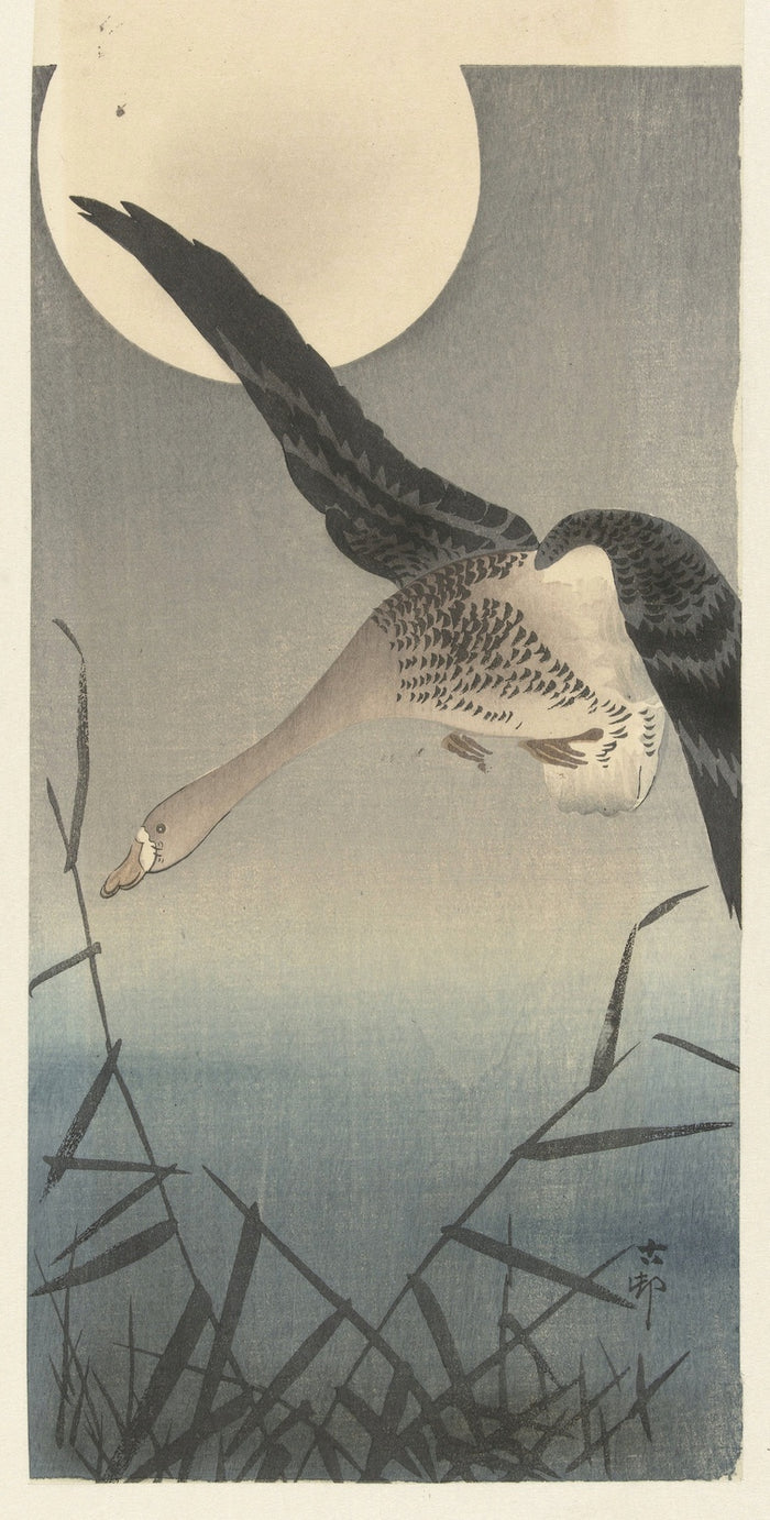 Goose by Ohara Koson, 1900