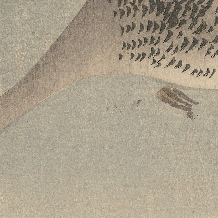 Goose by Ohara Koson, 1900