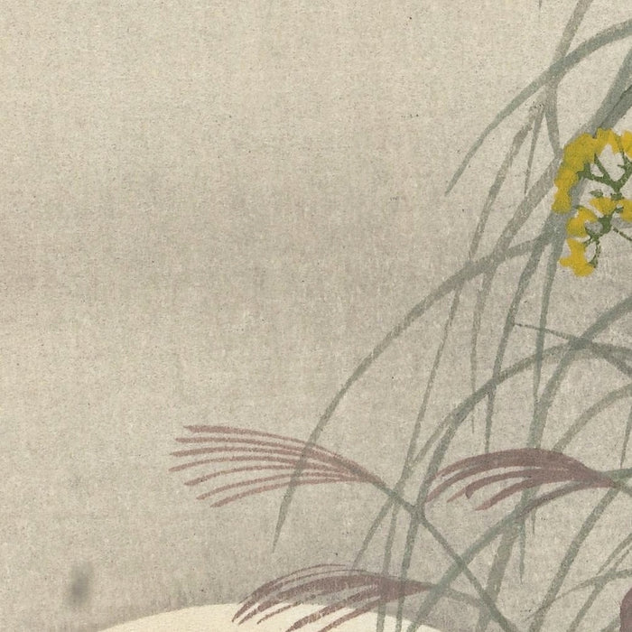 Grasses at Full Moon by Ohara Koson, 1900