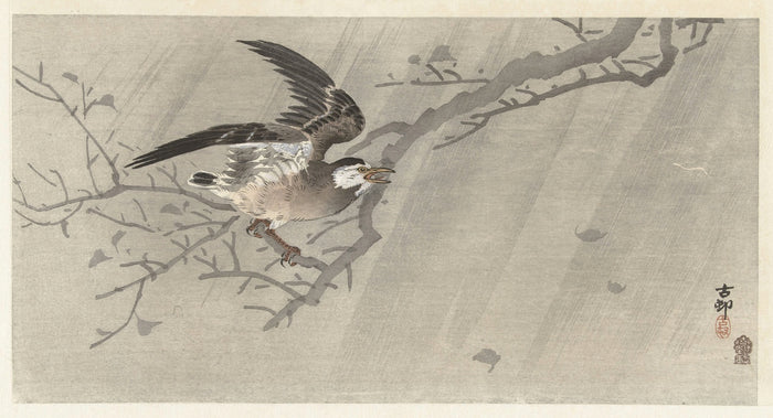 Gray starling in storm by Ohara Koson, 1900