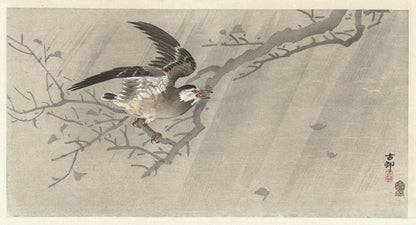 Gray starling in storm by Ohara Koson, 1900