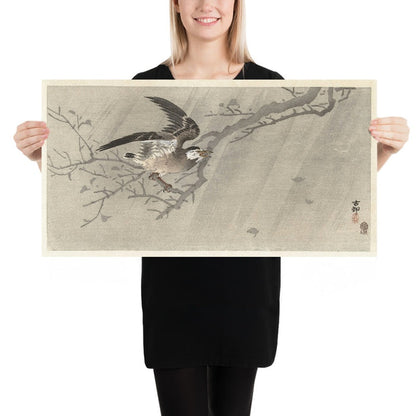 Gray starling in storm by Ohara Koson, 1900