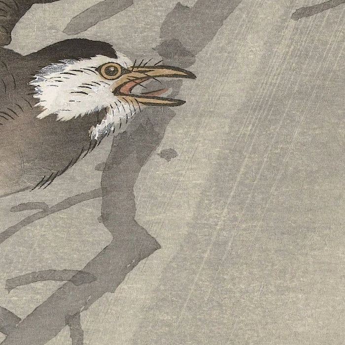 Gray starling in storm by Ohara Koson, 1900