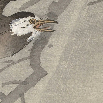 Gray starling in storm by Ohara Koson, 1900