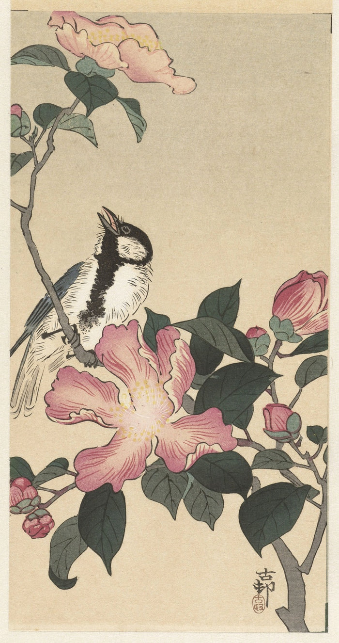 Great Tit on Branch with Pink Flowers by Ohara Koson, 1900