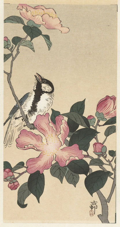 Great Tit on Branch with Pink Flowers by Ohara Koson, 1900