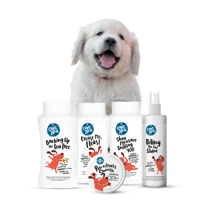 Grooming Essentials Mini Kit