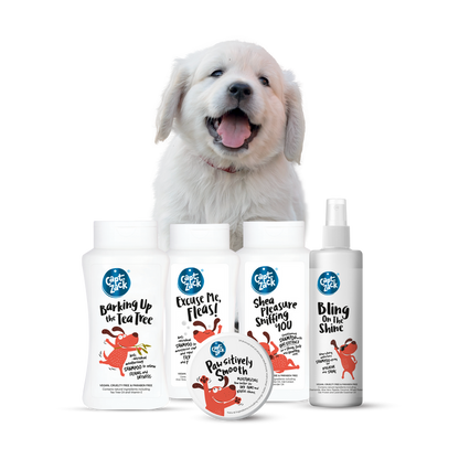 Grooming Essentials Mini Kit