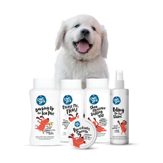 Grooming Essentials Mini Kit