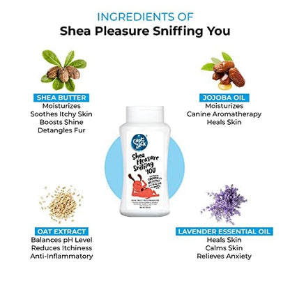 Grooming Essentials Mini Kit