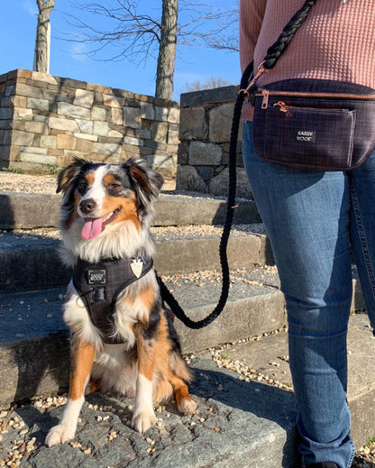 A dog wearing a black harness sits on stone steps, secured to a person in jeans and a pink sweater with the Sassy Woof Hands-Free Rope Leash - Noir. Sunlight casts shadows while a stone wall forms the backdrop.