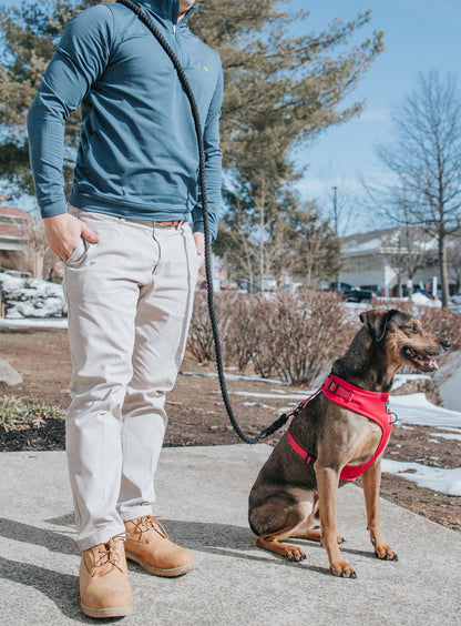 A person wearing a blue jacket, light pants, and tan boots stands on a sidewalk, holding the Sassy Woof Hands-Free Rope Leash - Noir attached to a brown dog in a red harness. Trees and snow are visible in the background.