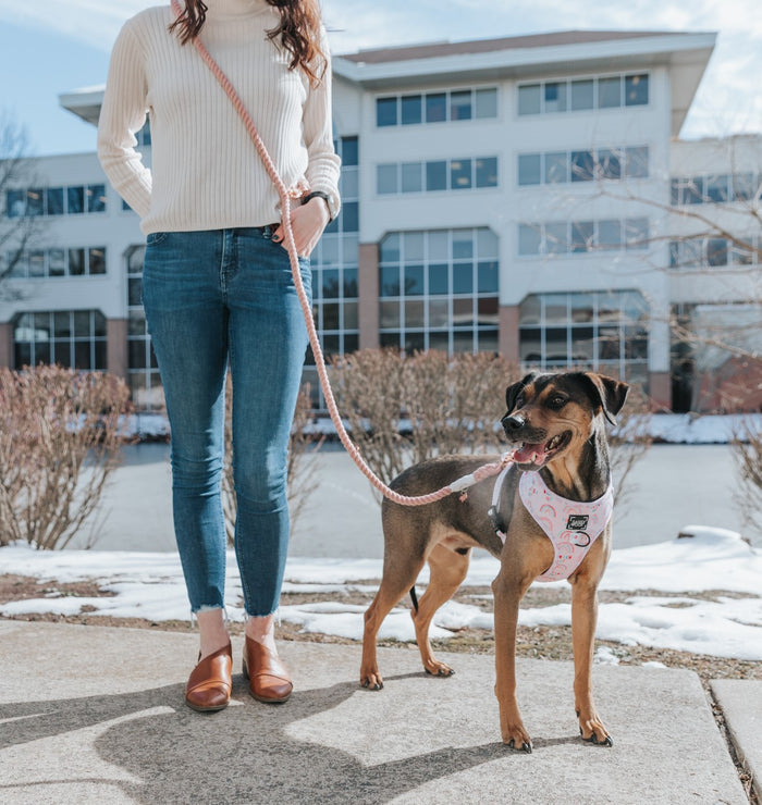 A person in jeans and a white sweater stands outside a building, holding the Sassy Woof Hands-Free Rope Leash - Rose All Day, which is attached to a happy dog wearing a pink harness. Snow and bare bushes are visible in the background.