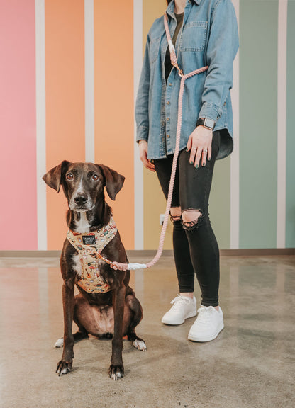 A black dog wearing a harness sits beside a person dressed in a jean shirt, ripped black jeans, and white sneakers, holding the Sassy Woof Hands-Free Rope Leash - Rose All Day. They are seated on a concrete floor with pastel vertical stripes in the background.