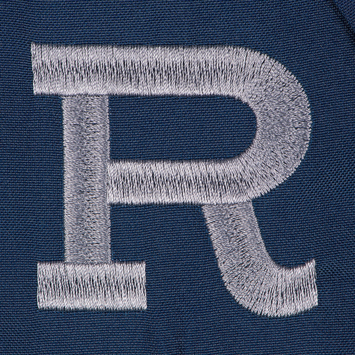 Harry Potter™ Ravenclaw™ House Sash