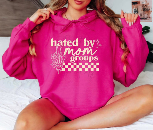 Hated by mom groups